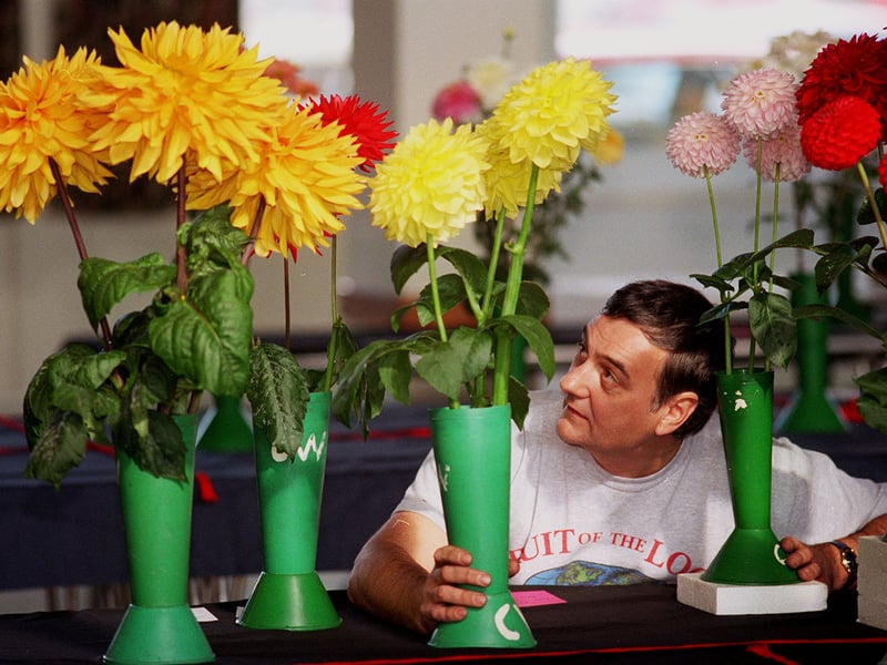 Dennis Glover from Kippax, exhibits his blooming collection, at the Early Chrsyanthemum, Dahlia and Vegetable Show of Colton, Whitkirk and District Gardeners' Association staged at St Mary's Parish Centre in October 1996.