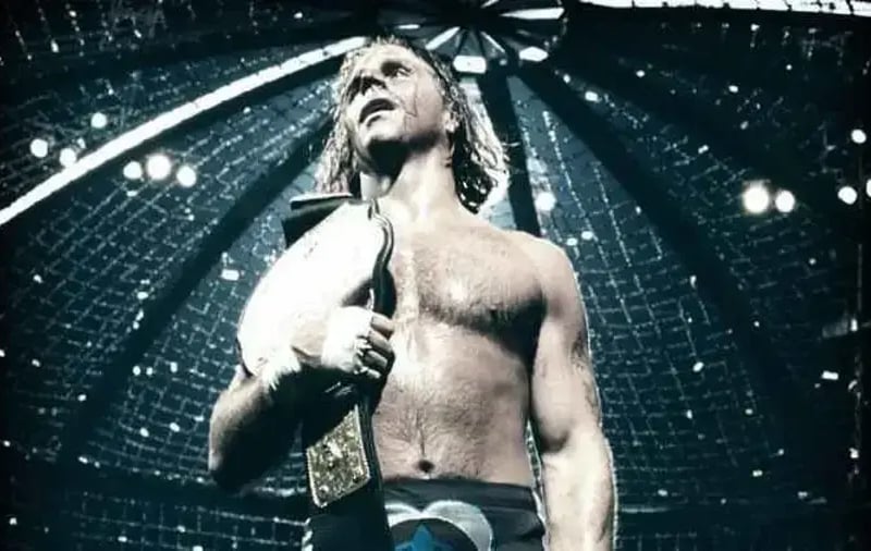 idely as "The Heartbreak Kid" Shawn Michaels, and is hailed as one of the greatest high flyers and wrestlers of all time. Michaels has won 16 championships in his WWE career. He is a 3 time WWE Champion and won the World Heavyweight Championship once. He has a reported net worth of $10million.