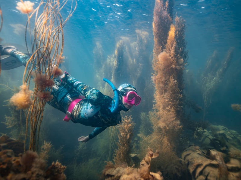 Guy Trees was runner up in the British Waters Living Together Category for this shot of his freediving friend which was taken in a peaceful moment among the seaweed below Balaclava Bay in Dorset.
He said "We seek refuge from the fast pace of daily life beneath the waves, where it is quiet. We relax, our heart rate slows down; for many people, the ocean provides a place to find peace."
