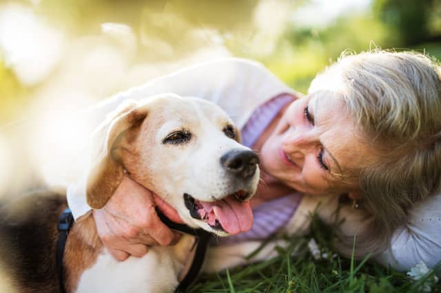 Dogs can be wonderful companions for those of us in our golden years.