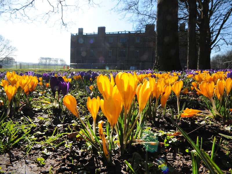 This vast Tudor-Jacobean estate offers acres of parkland and woodland for you to explore at no cost. The highlight for kids is the Home Farm, one of Europe's largest rare breed centres (check for separate entry fees/opening times). You also have a great adventure playground, a tea room, and varied terrain to explore. 📍Temple Newsam Road, Leeds, LS15 0BG 