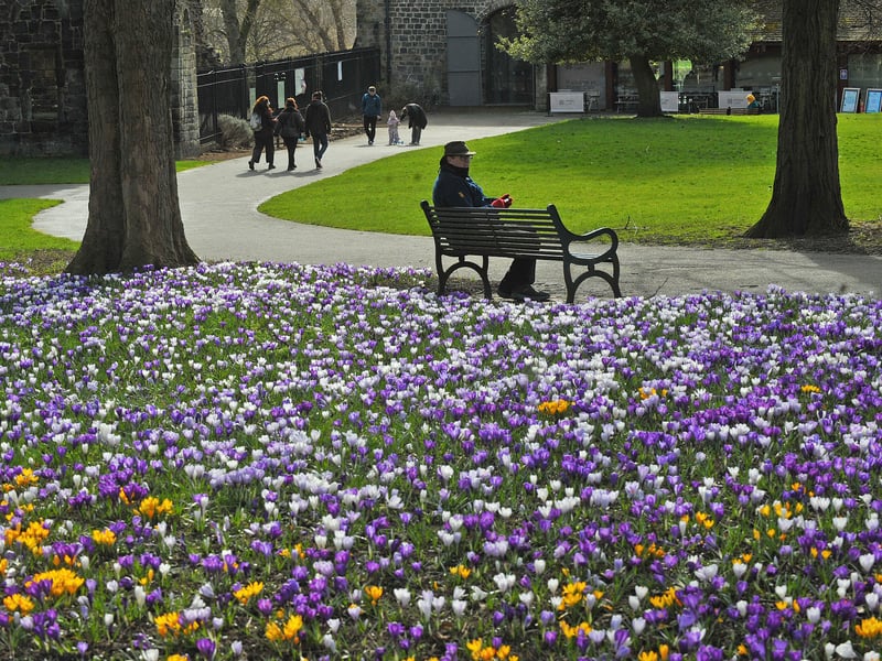 Many ventured out to Kirkstall Abbey to enjoy an early spring walk.