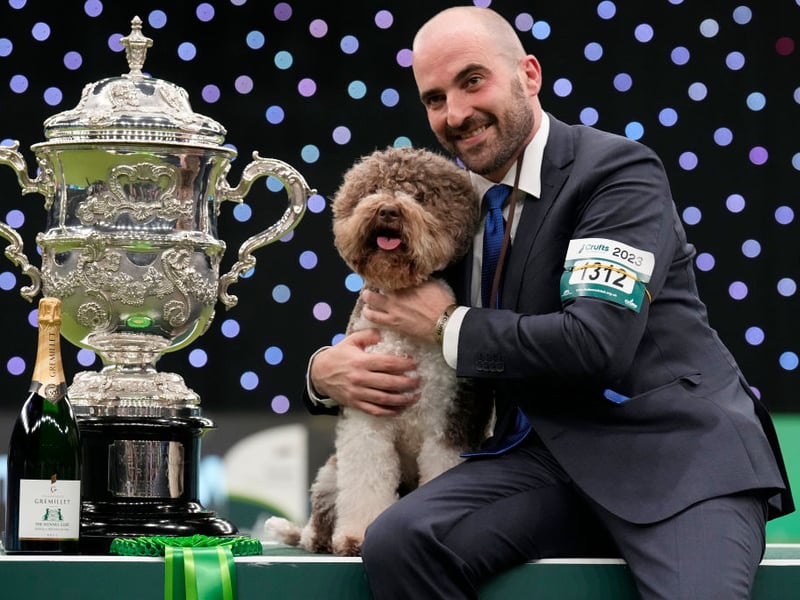The Best in Show winner at Crufts 2023, was Orca - a Lagotto Romagnolo who had already won the gundog group. He's pictured with handler Javier Gonzalez Mendikote and is owned by Sabina Zdunić Šinković and Ante Lučin from Croatia.
