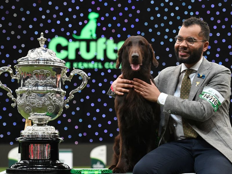 In 2021 Crufts was cancelled due to the global pandemic. When it returned in 2022 Best in Show went to flat coated retriever Baxer - pictured with owner and handler Patrick Oware.