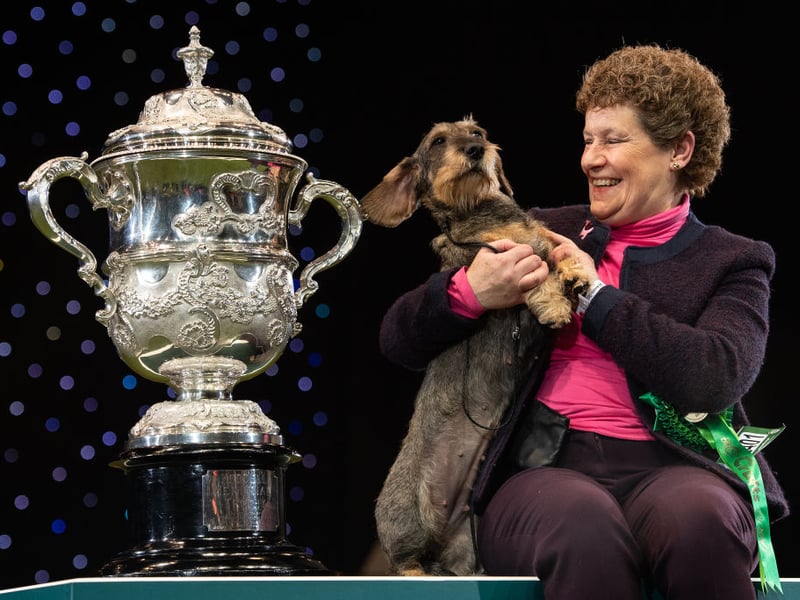 Maisie the Wire Haired Dachshund, from Gloucestershire, was triumphant on the final day of Crufts 2020. Owner Kim McCalmont is pictured celebrating with her.