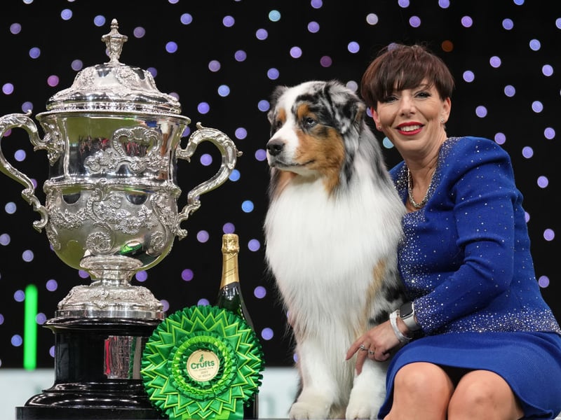 Melanie Raymond poses with Viking (Ch Brighttouch Drift The Line Through Dialynne), a three-year-old Australian Shepherd she co-owns with John Shaw and Kerry Kirtley from Solihull, Birmingham. Viking was Best in Show in 2024.