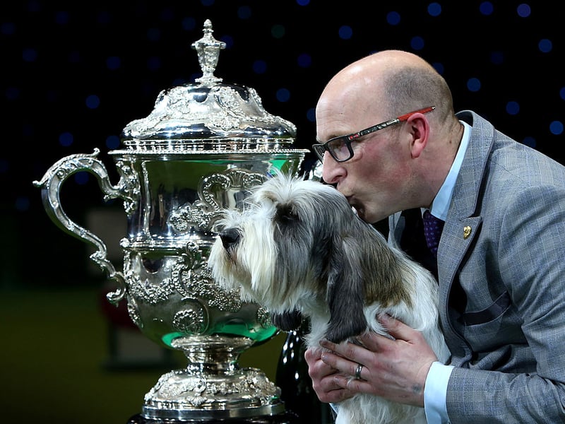 Gavin Robertson with Jilly, a Basset Griffon Vendeen, as they celebrate winning the Best in Show category of Crufts 2013.