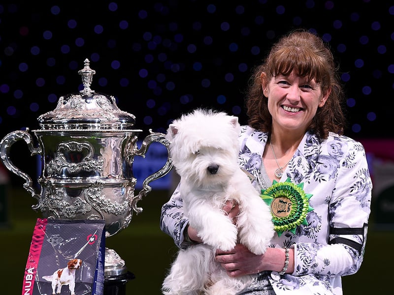 A West Highland White Terrier called Burneze Geordie Girl won the covetted rosette in 2016. She's pictured with the trophy and proud owner Marie Burns.