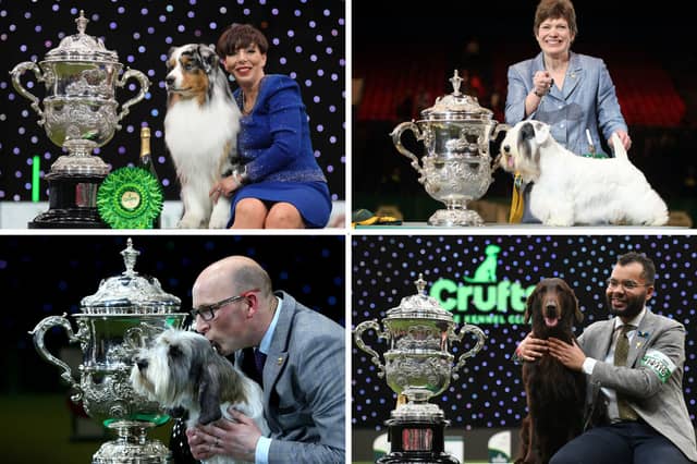 Perfect Show Dogs Top Show Dogs: Here are the last 15 adorable dogs to have won Crufts ...