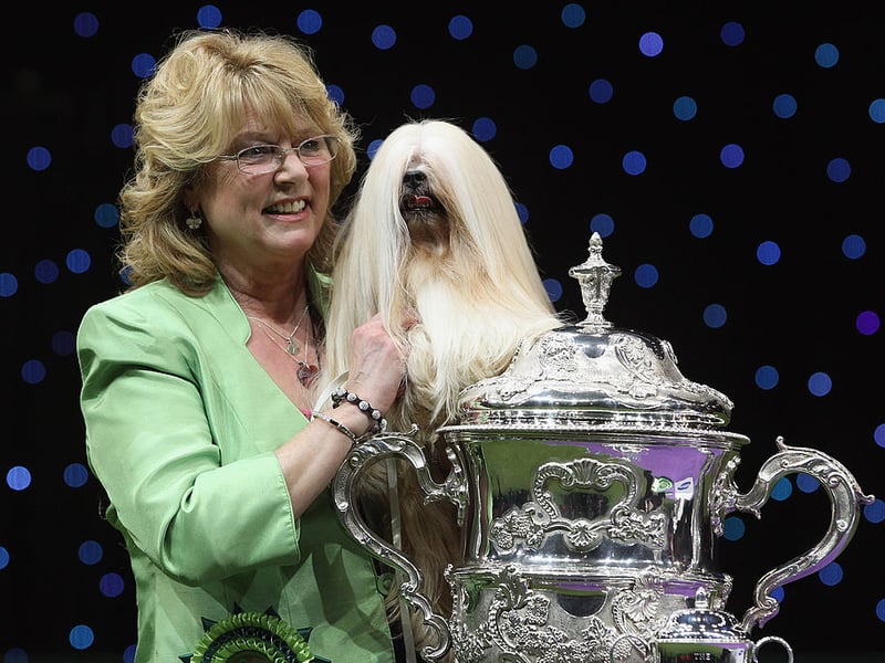 Elizabeth, a Lhasa Apso, and owner Margaret Anderson pose for photographs after winning Best in Show at the 2012 Crufts dog show.