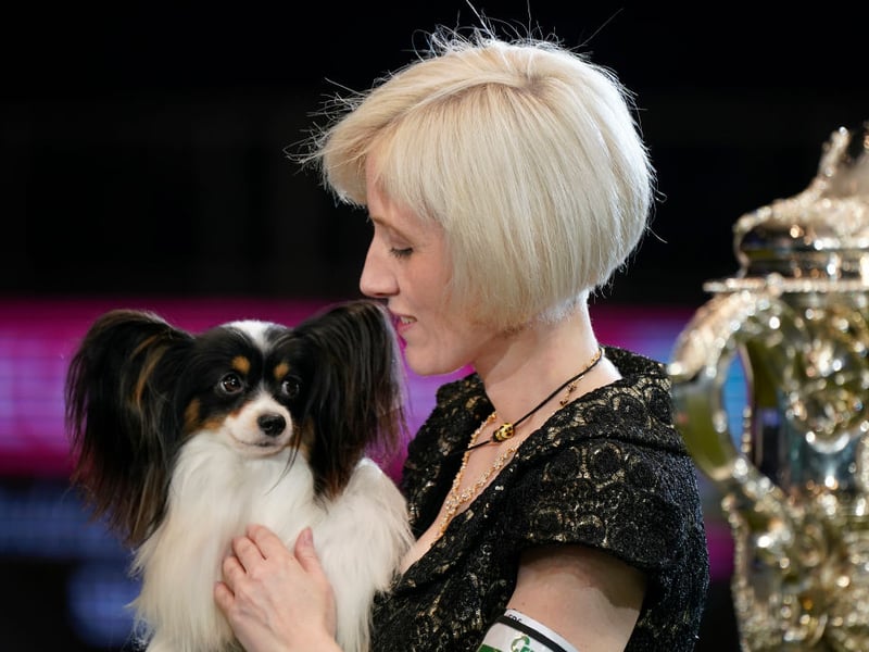 Dylan, a Papillon from Belgium, and owner Kathleen Roosens celebrate after winning Best in Show on the last day of Crufts Dog Show 2019.