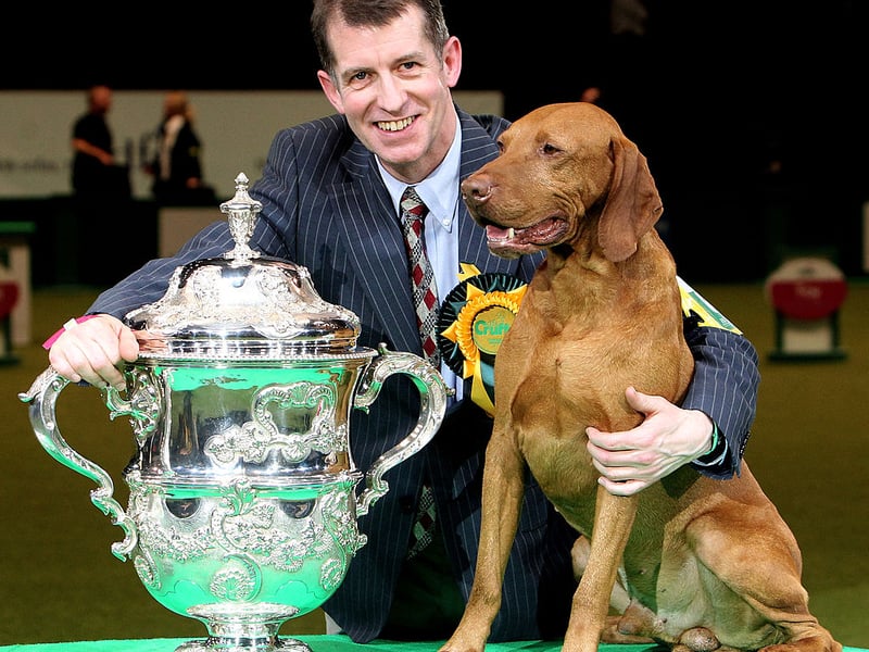 Yogi the Hungarian Vizsla with handler John Thirwell after winning Best in Show at the 2010 Crufts dog show.