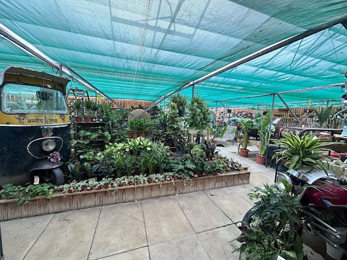 Finn Sloan said: "The staff were incredibly friendly and willing to support me with some advice on plant care. There is an extensive range of plants, furniture, and other items. I will be coming back."