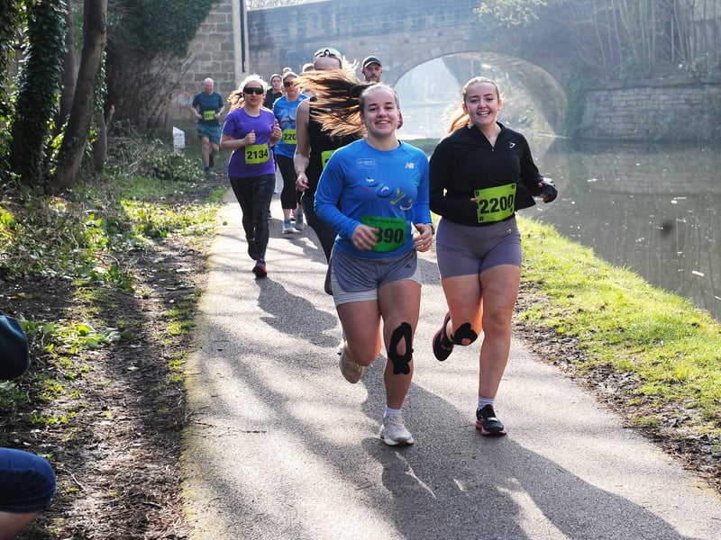 Runners in the morning sun.