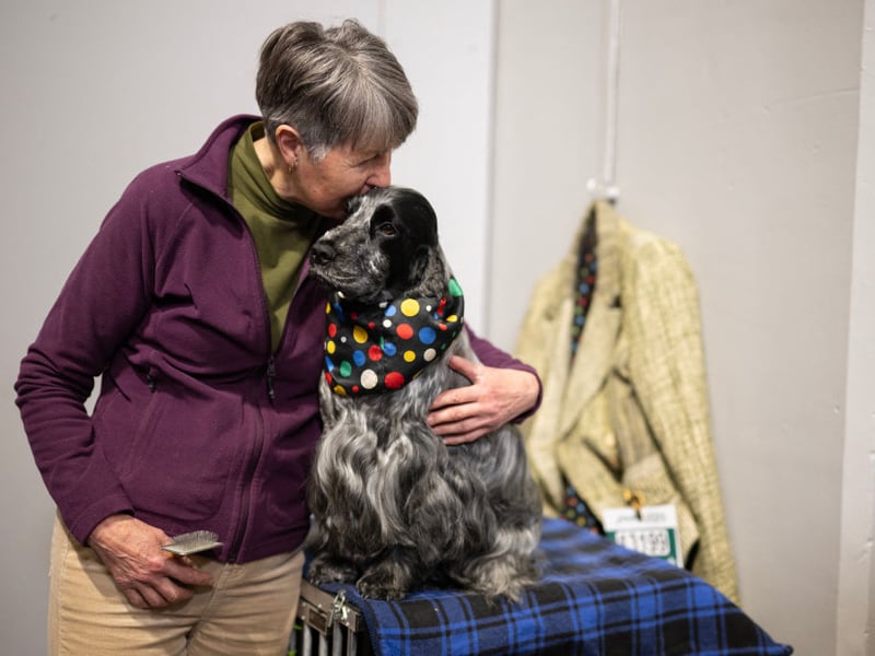 A woman cuddles her Cocker Spaniel at Crufts.