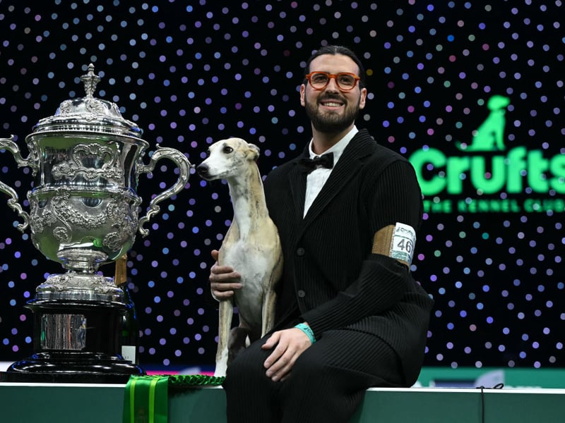 Miuccia the Whippet and handler Giovanni Liguori pose for photographs at the trophy presentation after winning the Best in Show event.