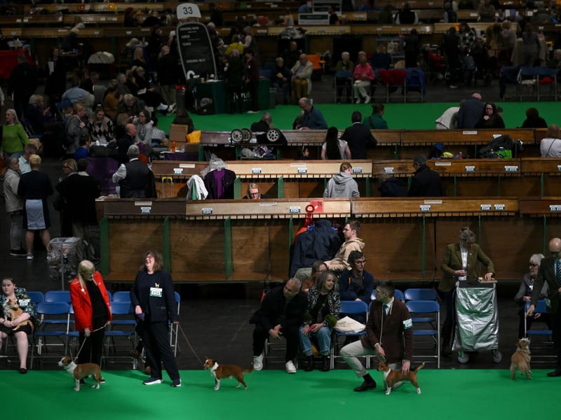 A view of the main arema at Crufts.