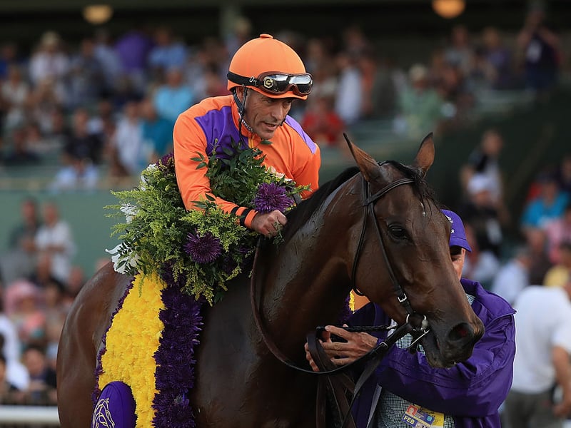 Turned his hand to acting in the 2003 film Seabiscuit and is now more frequently seen as an analyst. First turned professional in 1979 and rode his first of three Kentucky Derby winners in 1988. Stevens has a reported net worth of $4million.