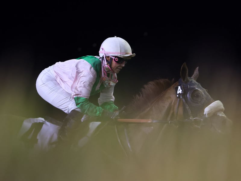 Winner of over a thousand thoroughbred races in the United States, the Canadian has a reported net worth of $20million. She is also a model and television personality.