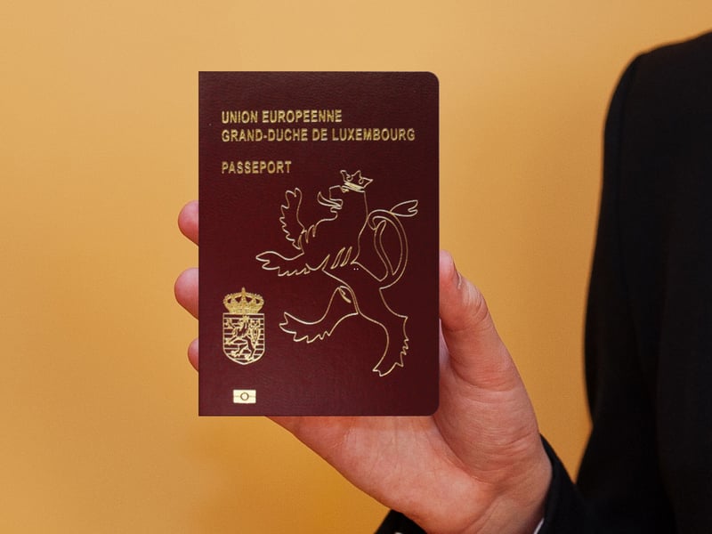 The final passport to have access to 176 countries - 132 visa free and 44 with a visa on arrival - is that held by citizens of Luxembourg.