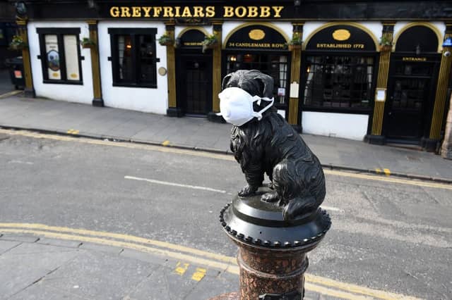 Greyfriars Bobby joins in with the mask wearing.
