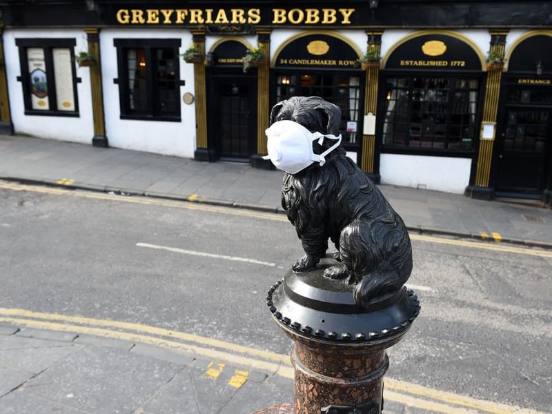 Even Greyfriars Bobby wore a face covering.