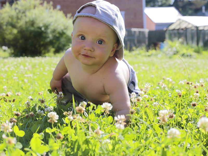 Alfie was the choice of 196 new parents in 2024. It's an Old English meaning 'elf counsel'.