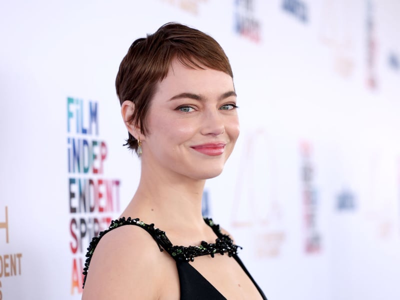 Having been nominated five times without a win, visionary director Yorgos Lanthimos will be hoping to break his Oscar duck with Bugonia, which is 16/1 for the last award of the night. A science fiction comedy starring Emma Stone (pictured), Jesse Plemons and Alicia Silverstone, it's a remake of a South Korean film called 'Save the Green Planet!' about two conspiracy theorists who kidnap a CEO believing her to be an alien.