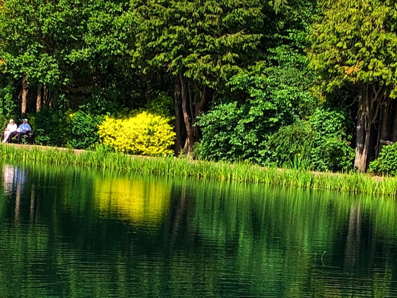 Average property prices in East Renfrewshire, which includes Rouken Glen park, have risen from £190,448 to £306,595 in ten years - that's up 60.99 per cent.