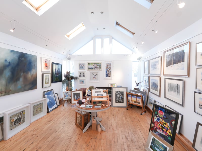 Ian Forrest Photography
