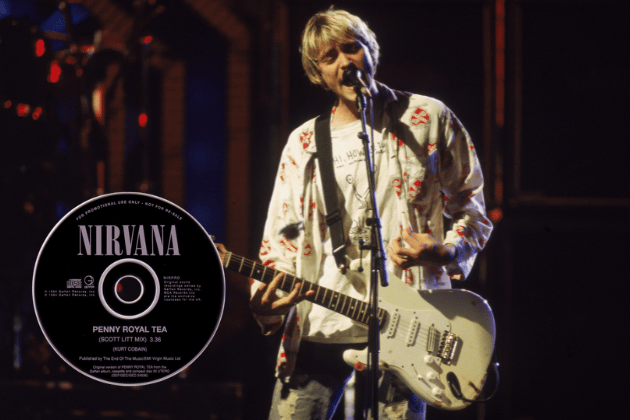 The Pennyroyal Tea single is shrouded in a tragic history that significantly contributes to its rarity and value. Originally intended for release as a single from Nirvana's "In Utero" album, the single was withdrawn following the death of Kurt Cobain. This sudden cancellation meant that only a very limited number of copies were ever pressed, primarily promotional versions.