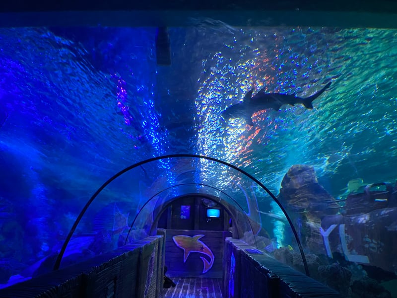 Promenade, Blackpool, FY1 5AA | 4.4 out of 5 (10,920 reviews) | "The whole trip was a fantastic one that kept the whole family entertained."