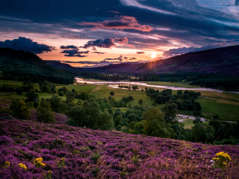 Whether you’re visiting Aberdeen and exploring Donmouth Nature Reserve or you’re exploring Aberdeenshire’s nature, the north-east has plenty to offer photographers.