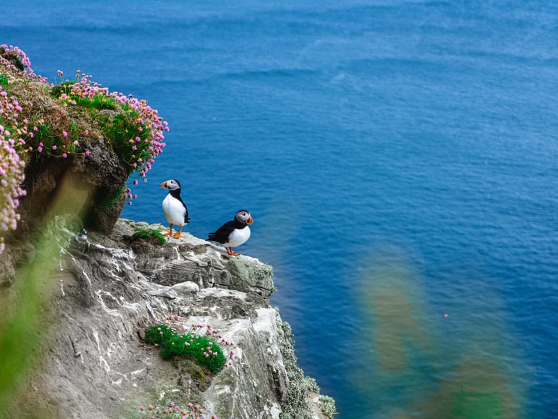 Home to John o’ Groats and Dunnet Head – the UK’s most northerly point – photographers in Caithness have a number of iconic spots to take inspiration.