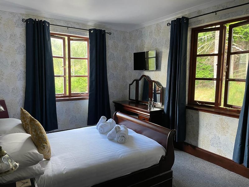 A woodland view room
