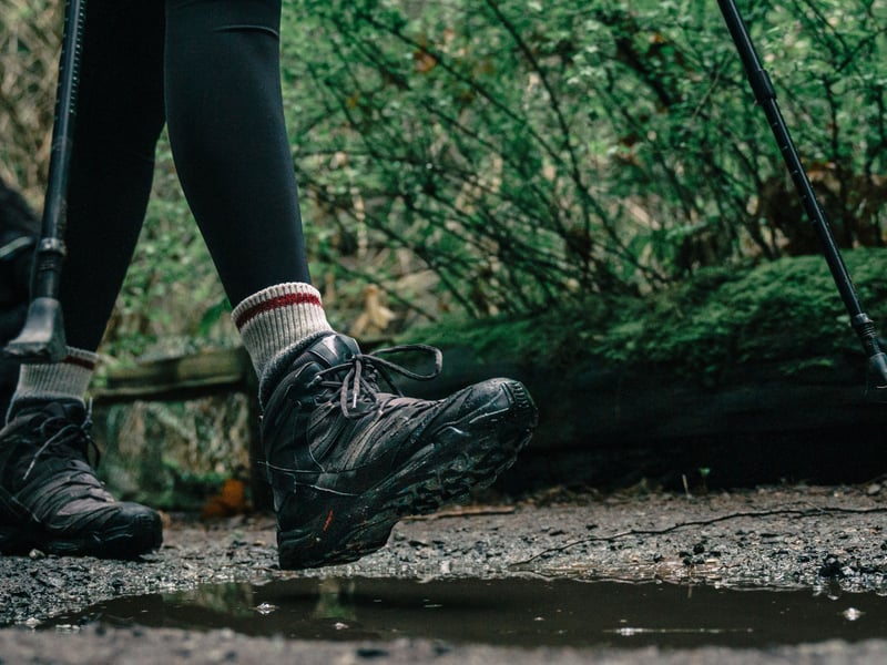 This year's Ballater Walking Festival takes place from May 17-23. There will be daily walks and a full programme of evening entertainment - from yoga and films, to concerts and a closing ceilidh.