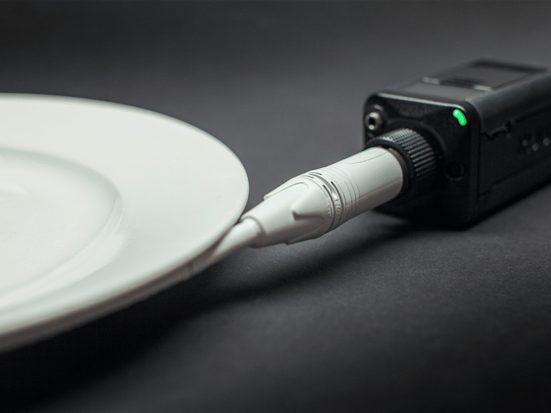 RØDE Microphones, a company renowned for its high-quality audio equipment designed for professional recording, announced the "FoodMic Pro." This fictional product was presented as a specialized microphone designed to capture the nuanced sounds of food. They focused on the "delicate crunch" of a crisp, the "satisfying sizzle" of a steak, and the "creamy swirl" of a milkshake.