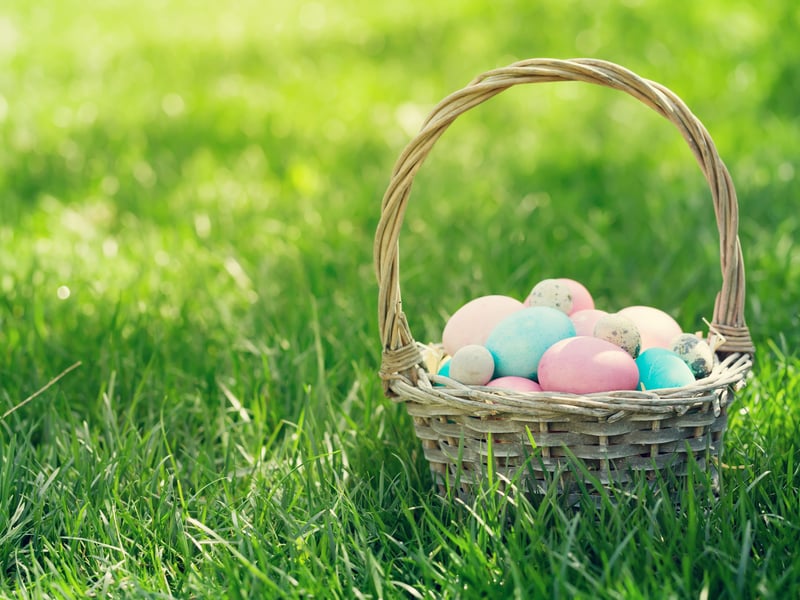 No Easter celebration is complete without a classic egg hunt, and this year, the National Trust for Scotland is once again bringing its popular Easter Egg Trails to historic sites across the country. Blending outdoor adventure, problem-solving, and a sweet reward at the finish line, these trails offer a fantastic way for families to enjoy the Easter weekend together. Participants can follow a specially designed route, uncover clues, and solve puzzles before claiming a chocolate treat at the end. This year, families can choose between Maltesers or Moo Free, dairy free eggs, making the experience even more inclusive. With each location offering a unique trail, there’s plenty of opportunity to explore multiple sites and soak up Scotland’s rich history along the way. In Aberdeenshire and Angus, there are many attractions hosting trails: Castle Fraser (18th–21st April, between 10-3.30), Craigievar Castle (18th–20th April, between 10-4), House of Dun, Garden & Estate (18th–21st April, between 11-4), Barry Mill (18th–20st April, between 11-4). Book your trail in advance. Each trail sheet costs £5, and advance booking is required for most locations. 