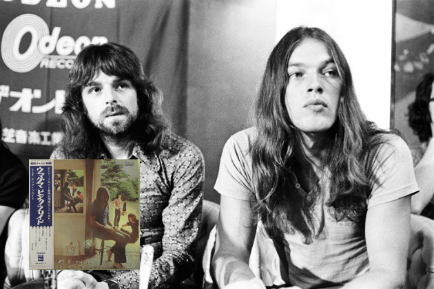 Pink Floyd's Ummagumma, particularly the rare red promo pressing, is a prized possession. However, the band's extensive catalogue and enduring popularity mean that many fans own at least some of their vinyl, making them a fixture in record collections.