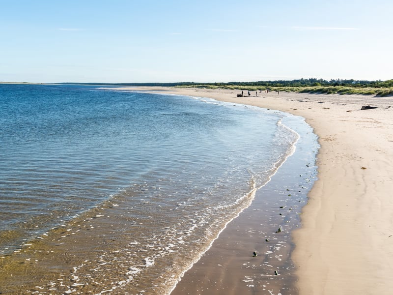 Just 15 miles up the coast north east of Inverness, Nairn Beach has some of the whitest sand in Scotland and one of the best climates - it's one of the sunniest and driest spots in the country. One happy tourist said: "Long stretch of beautiful beach with wonderful views. Great for walking and dogs are welcome. Good spot for a swim."