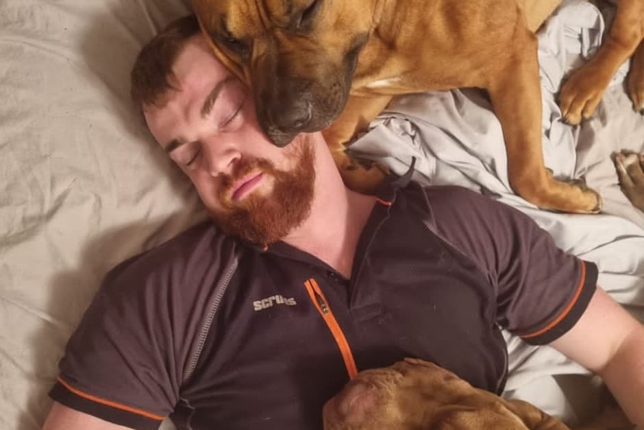 Dog Execution 'Two family members have been executed': dog owner left reeling after ...