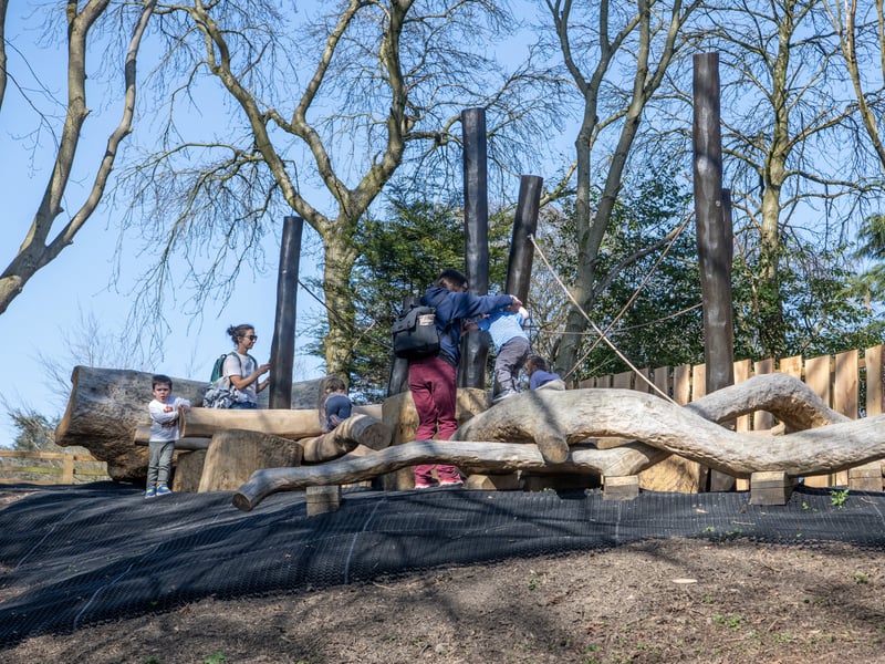 Touchwood Play have previously won awards for their work at Chelsea & Hampton Court Flower Show.