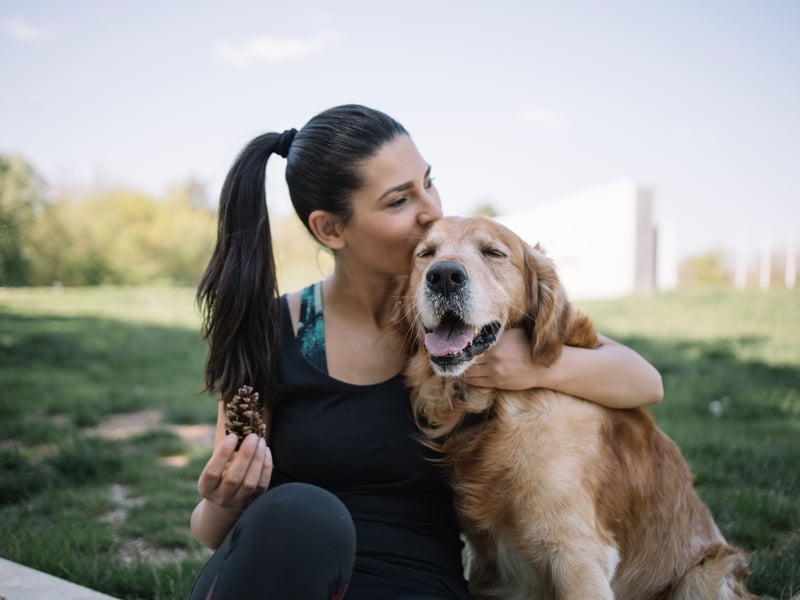 What's true of the Labrador Retriever tends to also hold for their close cousin the Golden Retriever, and that's certainly the case when it comes to huge reservoirs of affection. Plus, due to their longer hair they are arguably even more snuggly.