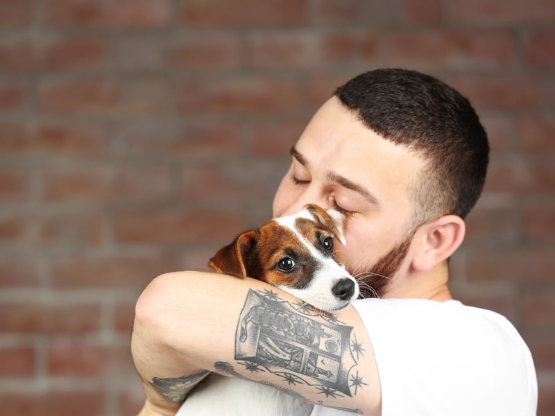 Jack Russell Terriers show their overwhelming affection for their human family in three different ways - by diligently following around at their heel, by snuggling in whenever physically possible, and by being protective when it comes to strangers. This can lead to barks and nips - they are not dogs who transfer affection to others.