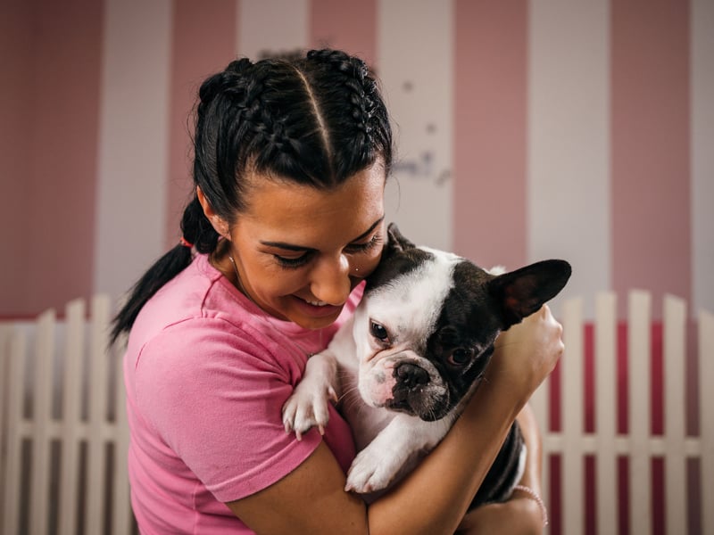 French Bulldogs aren't fussy about where they snuggle up for their frequent naps - your bed, their bed, the couch, a pile of disguarded clothes. Their absolute favourite is on top of their owner - and they won't care if you are trying to work from home.