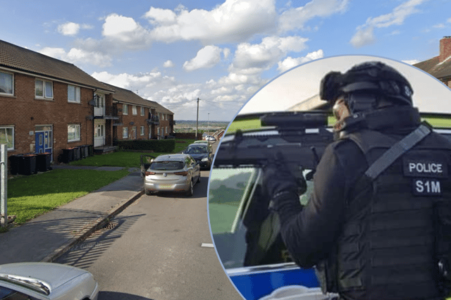 Escaped 'bull breed' savages woman and kills her dog in terrifying ...