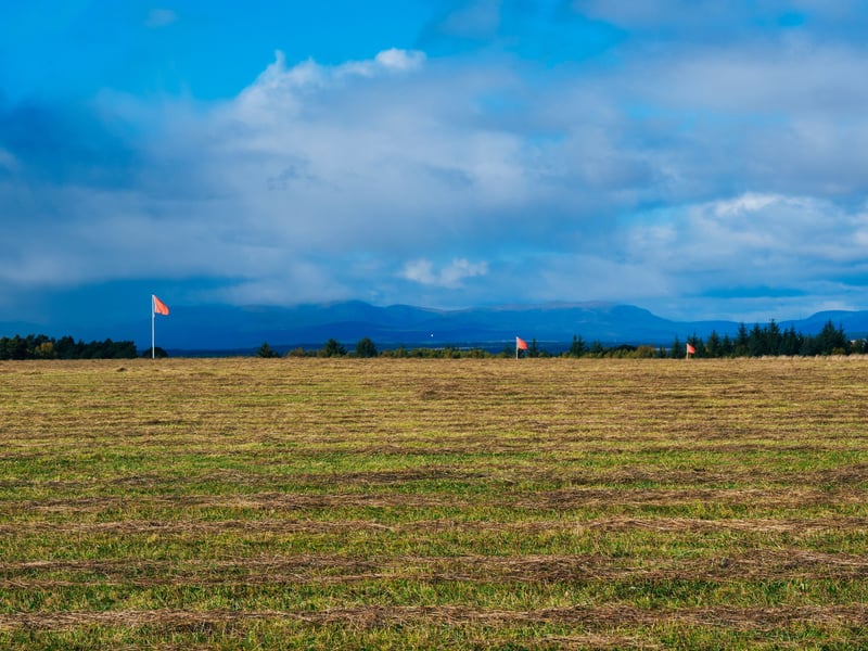 Last year saw 374,443 people visit the Culloden Visitor Centre located next to the atmospheric battlefield to the east of Inversness where the 1745 Jacobite Rising came to a tragic end. The centre has a 360-degree battle immersion theatre, which puts you right in the heart of the action, alongside a museum, roof garden, shop and the restored 18th-century Leanach Cottage. You might even get the chance to see Highland cows grazing on the battlefield.