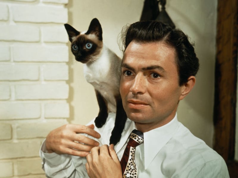 Sean Connery also has James Mason to thank for his casting on one of cinema's most iconic roles. The treble Oscar nominee, famous for film slike 'A Star is Born', '20,000 Leagues Under the Sea' and 'Journey to the Centre of the Earth' was offered a three-film deal but was only willing to do two.