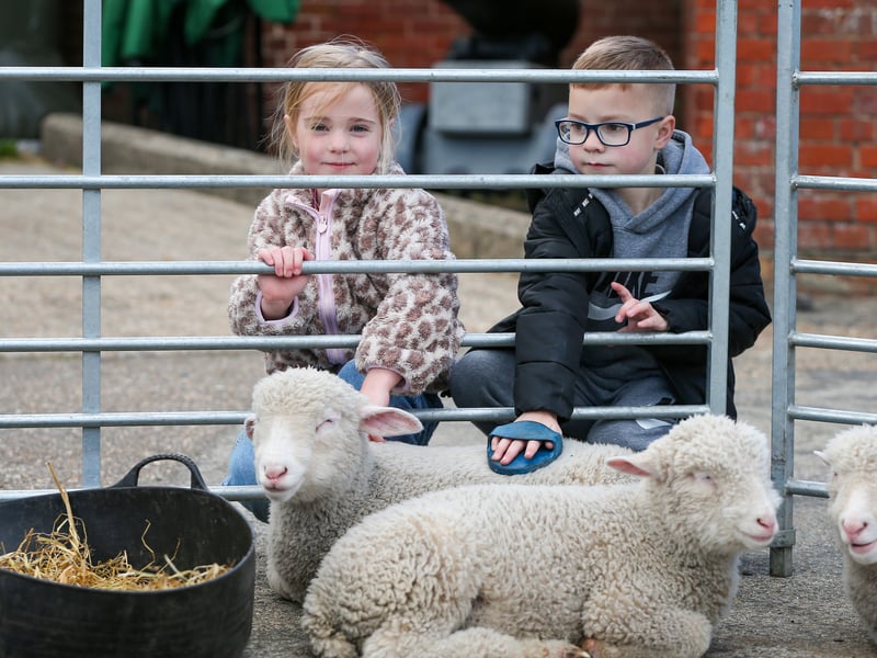 Amelia, 7, and Hayes, 7, with some lambs. Picture: Chris Moorhouse (160425-62)