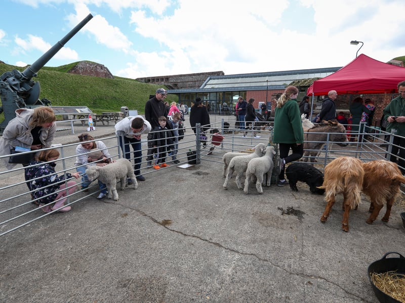 Easter holiday activities at Fort Nelson included a petting zoo Picture: Chris Moorhouse (160425-57)